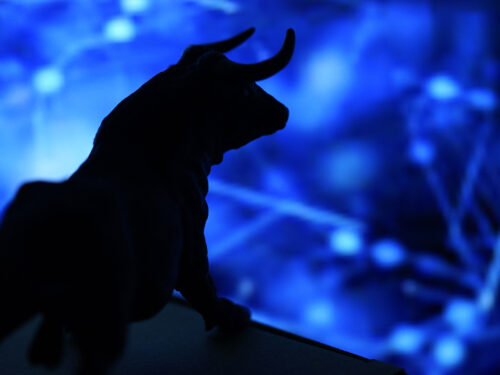 CIG Asset Management Update: A New Bull Market?